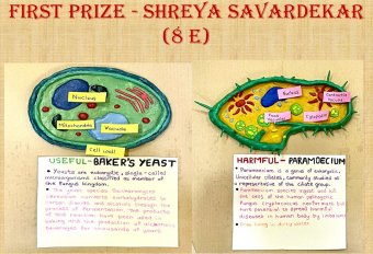 Winners of science competition std 8th